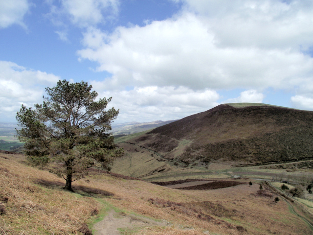 Moel y Plas in the Clwydian hills