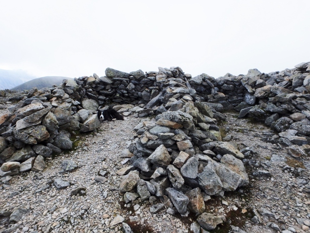 ‘Mist’ takes a break in the summit shelter of Carnedd Dafydd ….